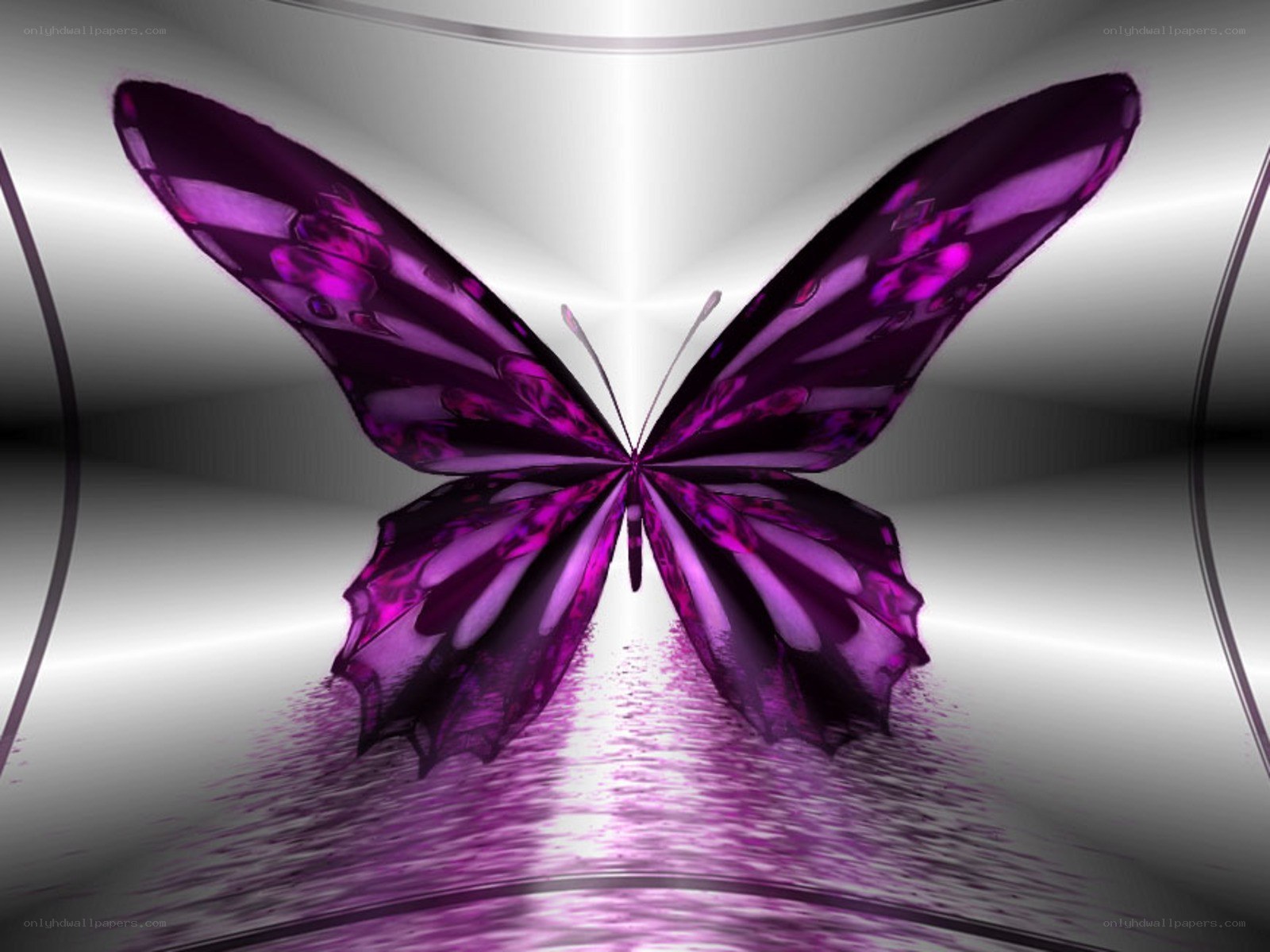 purple butterfly digital art