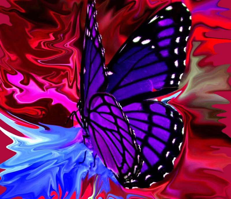 Purple Butterfly — Dramatic
