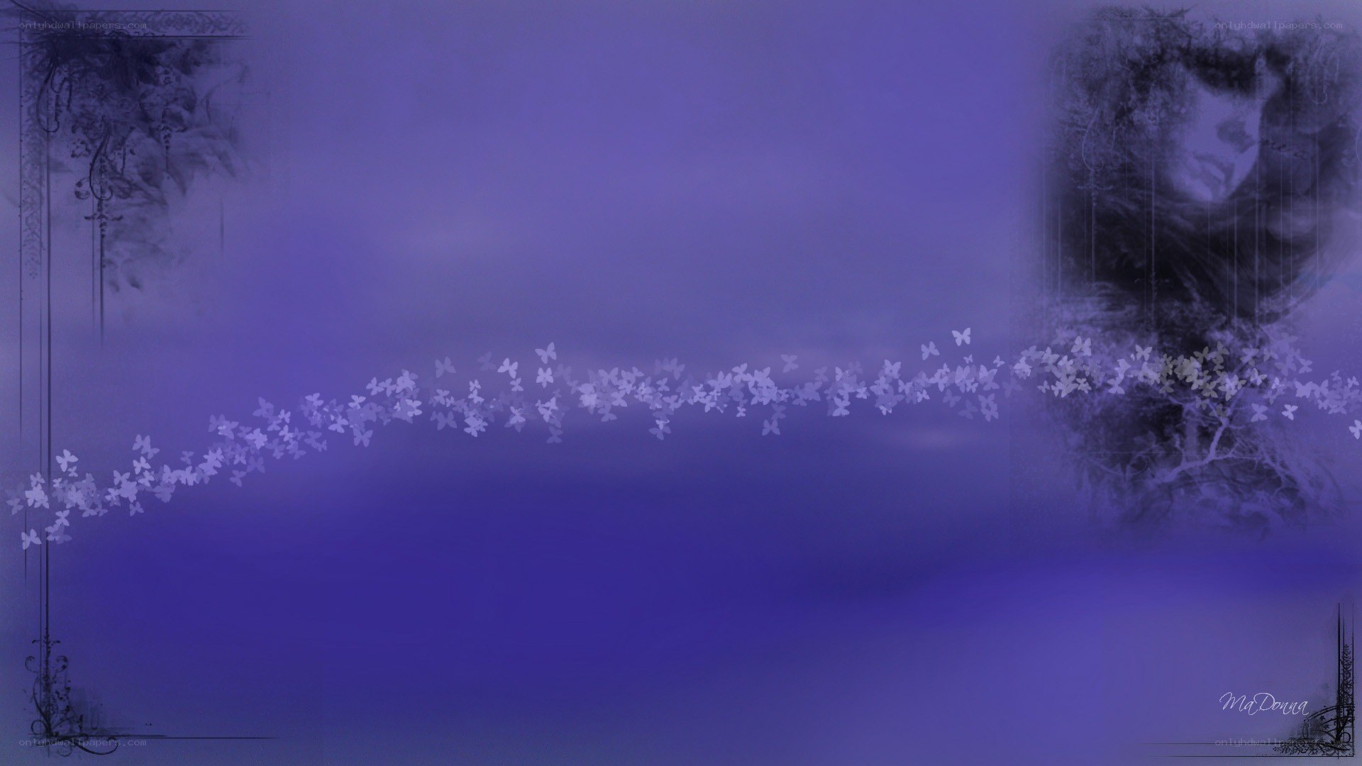 purple butterfly dream