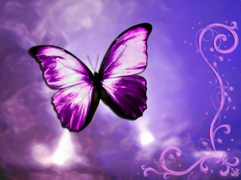Purple Butterfly — Dreamy, Digital Art, Swirls, Stars, Light