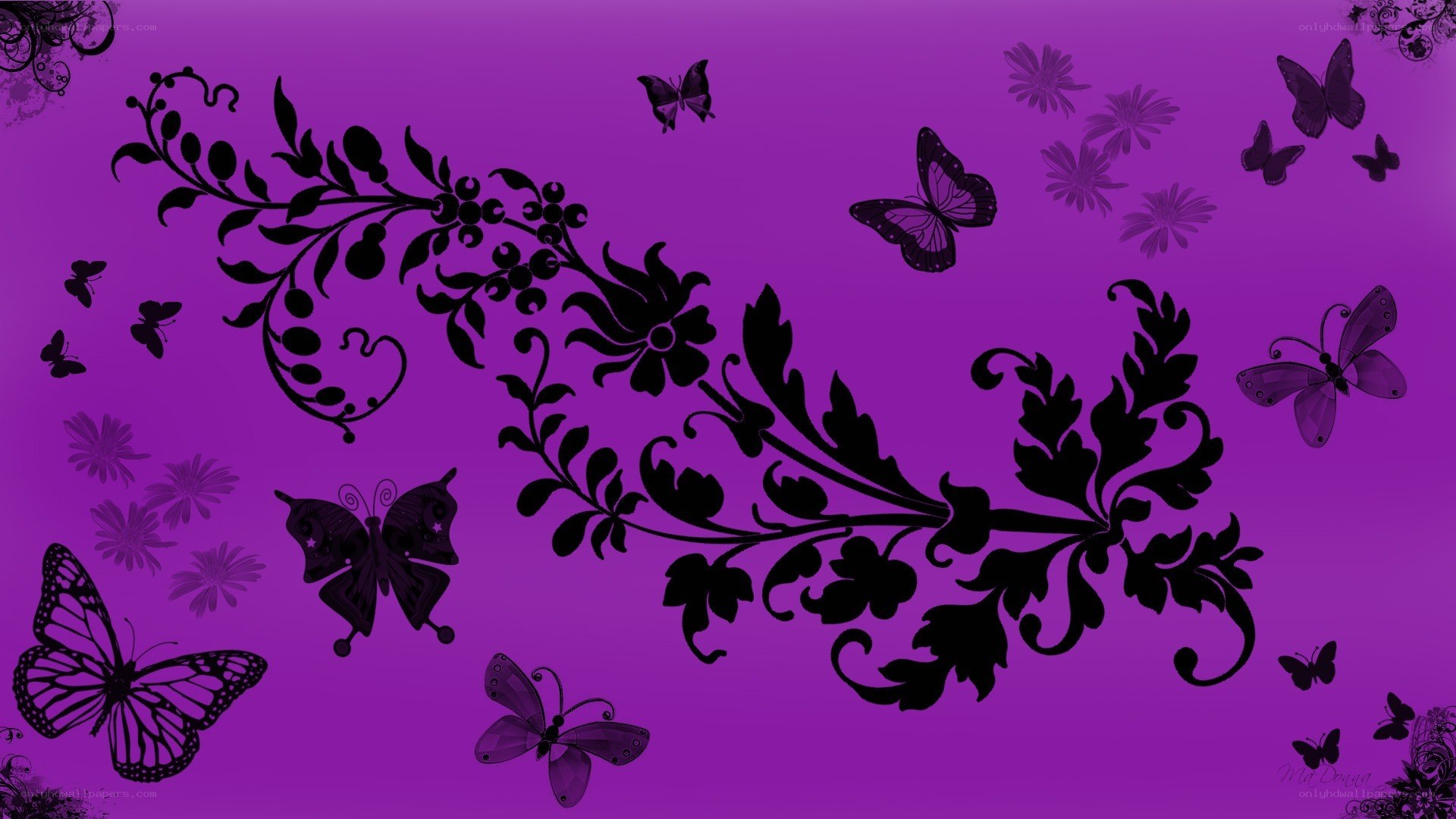 purple butterfly floral wallpaper
