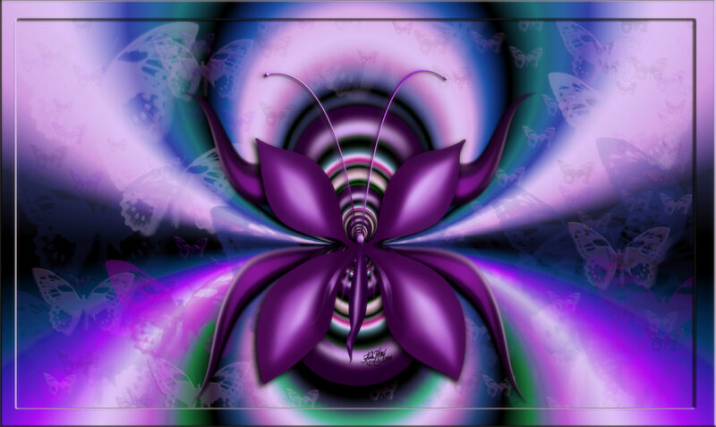 Purple Butterfly Flower