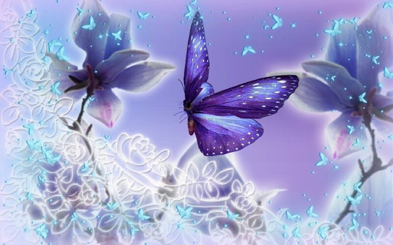 Purple Butterfly Flying — Dreamy