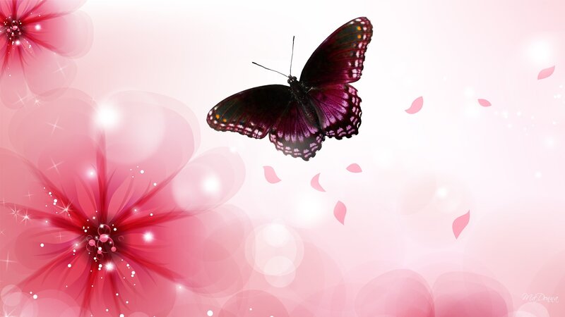 Purple Butterfly Flying — Pink