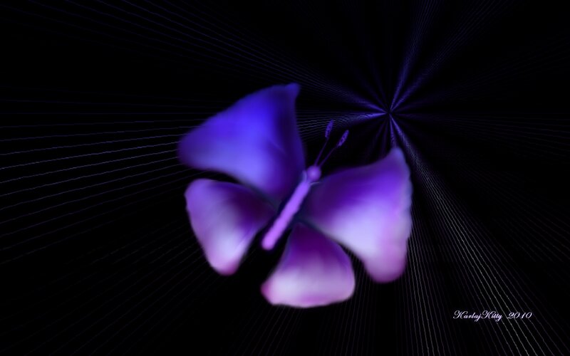 purple butterfly in dark space