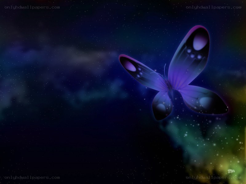 purple butterfly in space