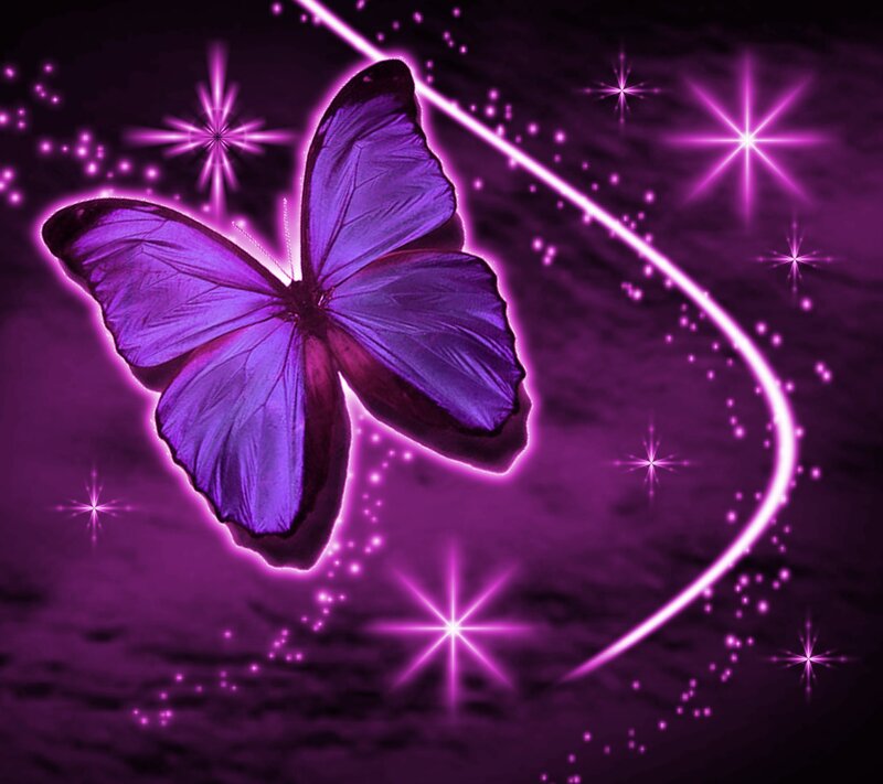 Purple Butterfly — Magical