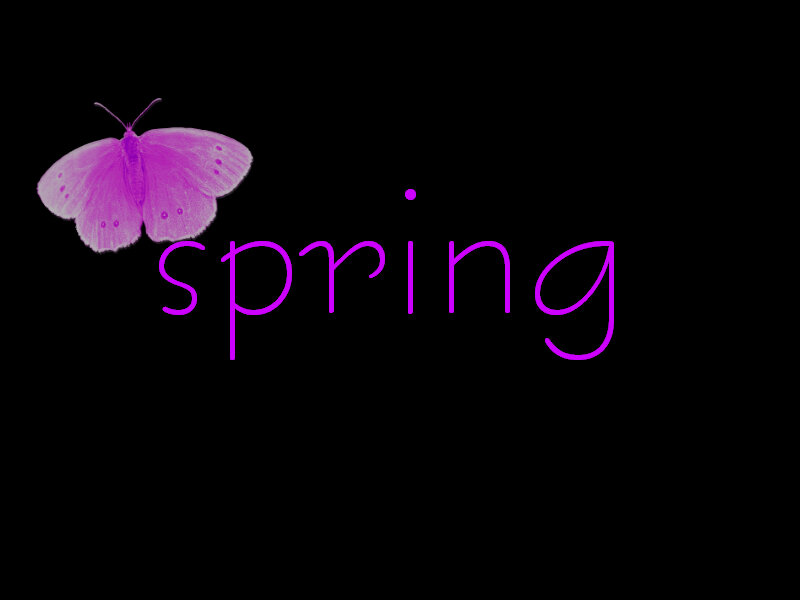 Purple Butterfly — Minimalist