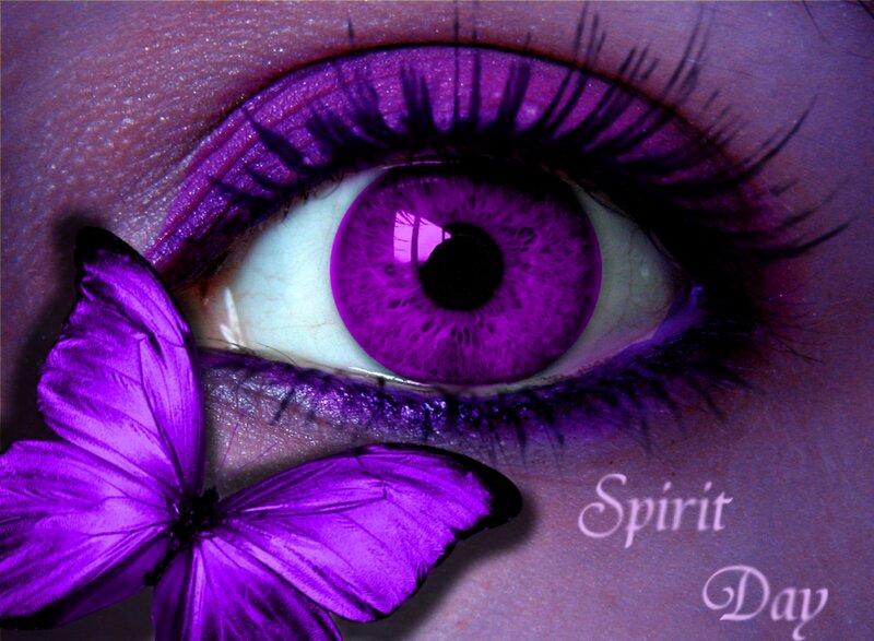 Purple Butterfly Near Eye