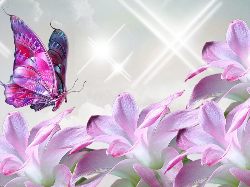 Purple Butterfly Near Flowers