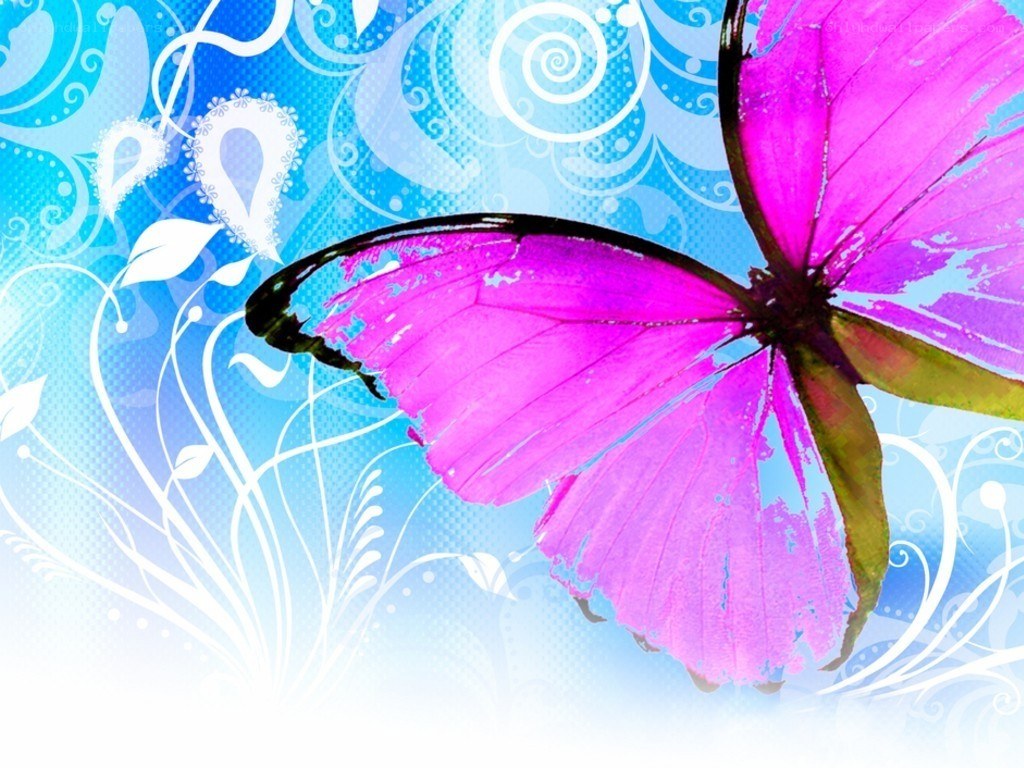 purple butterfly on blue background