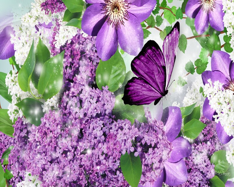 Purple Butterfly on Flowers — Serene, Spring