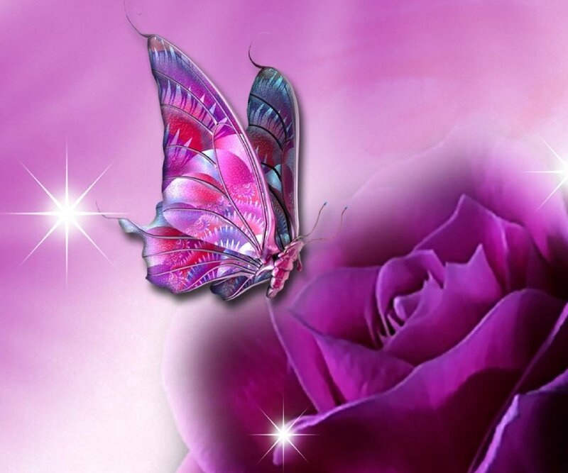 Purple Butterfly on Rose — Dreamy