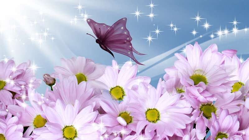 Purple Butterfly over Flowers
