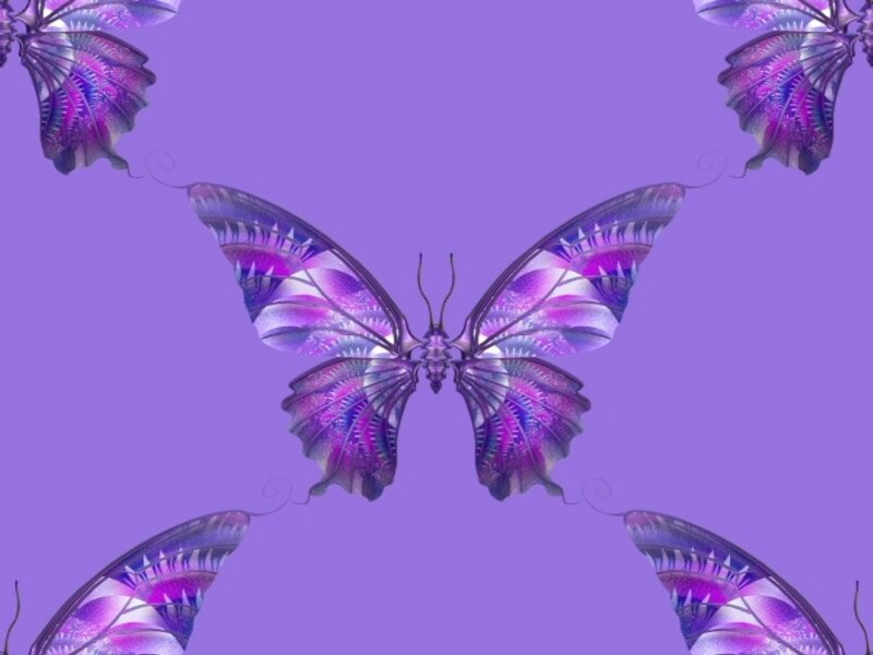 purple butterfly pattern