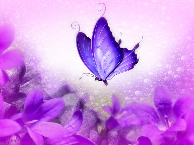 Purple Butterfly — Serene, Digital Art, Flowers