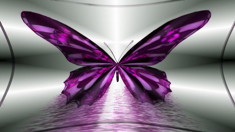 Purple Butterfly — Serene, Digital Art, Reflection