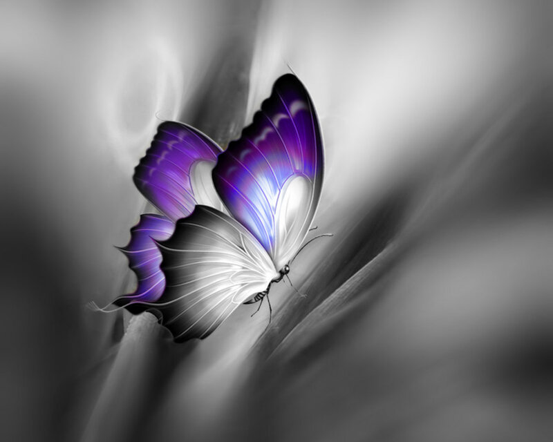Purple Butterfly — Serene, Digital Art