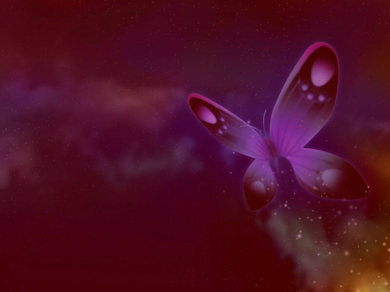 Purple Butterfly — Serene, Night