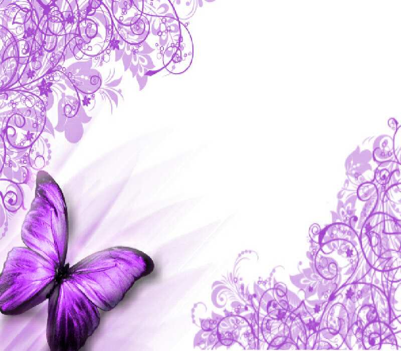 Purple Butterfly — Serene
