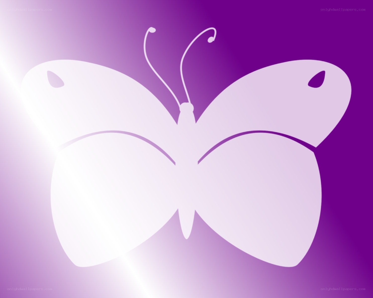 purple butterfly silhouette