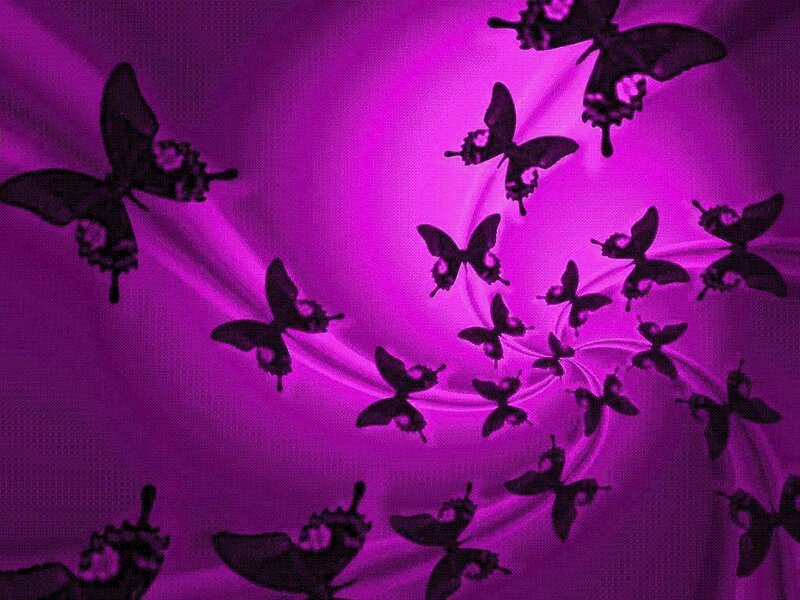 purple butterfly swarm