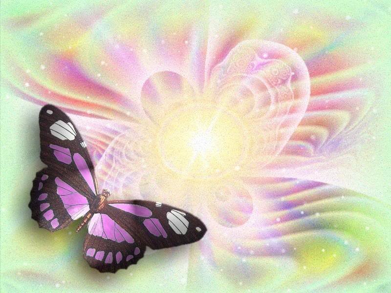 Purple Butterfly