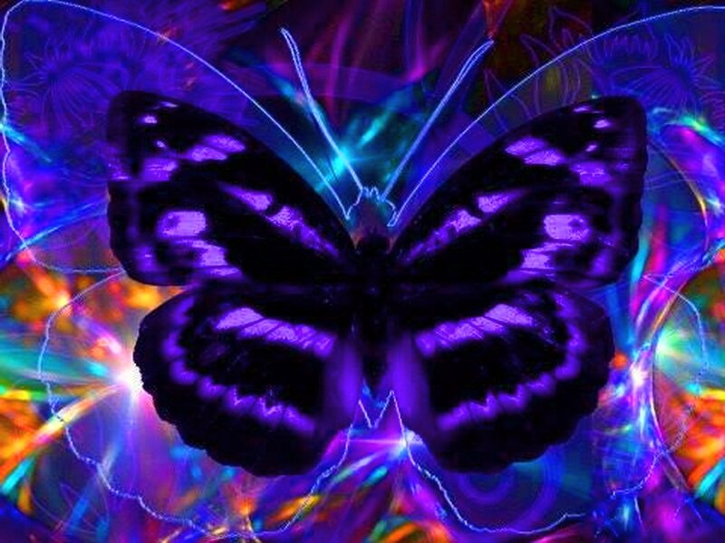 Purple Butterfly — Vibrant, Digital Art, Neon Lights