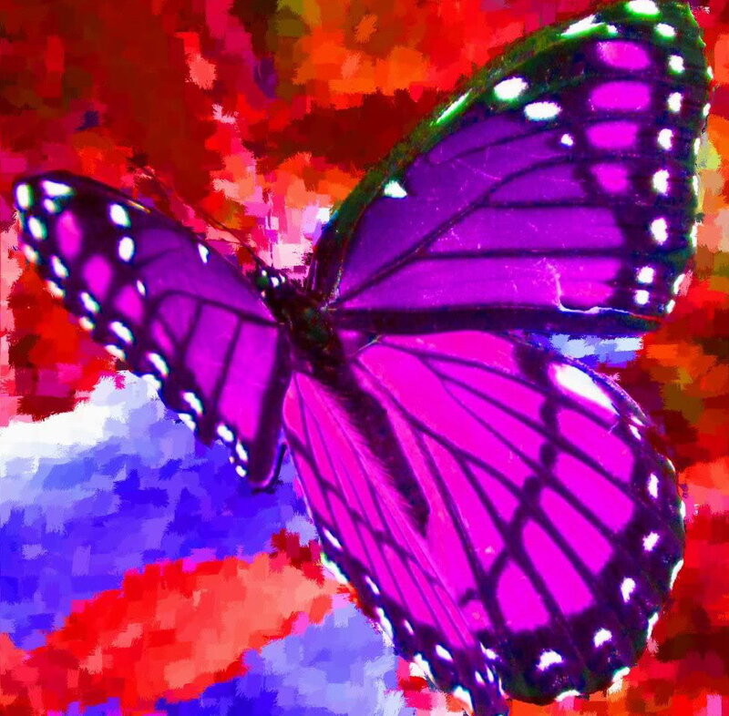 Purple Butterfly — Vibrant, Digital Art