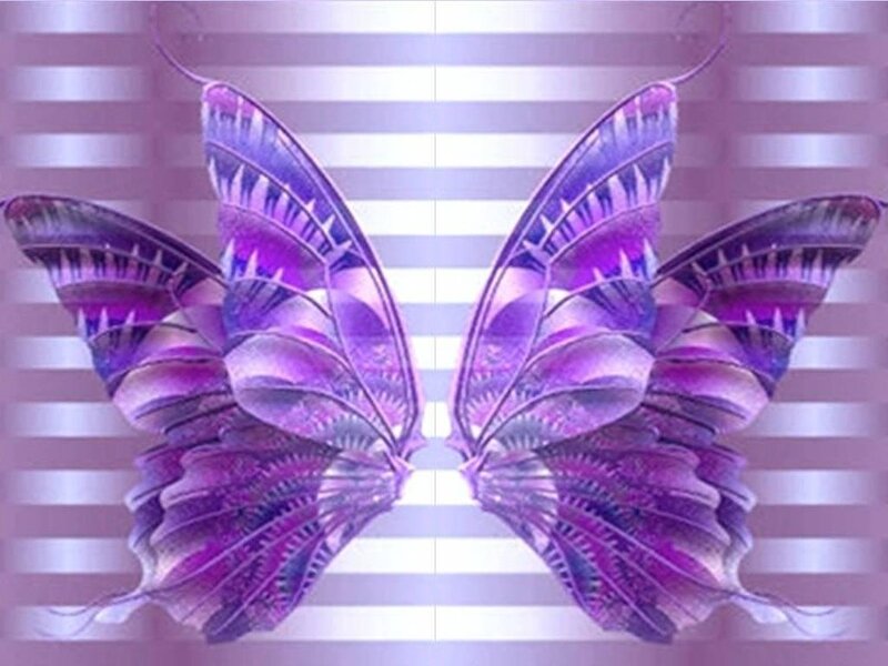 Purple Butterfly Wings — Dreamy