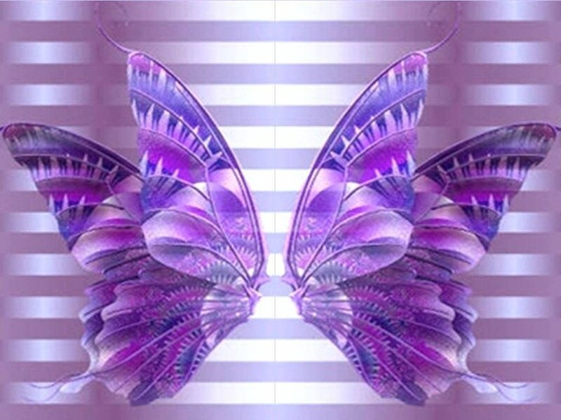 purple butterfly wings