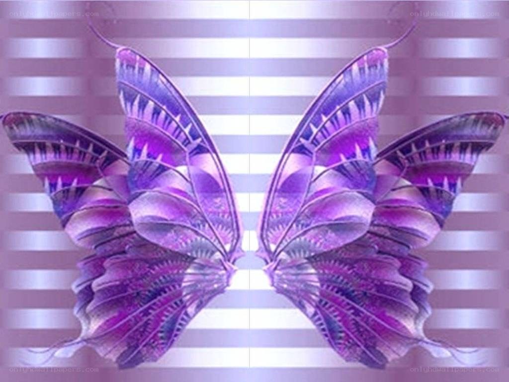 purple butterfly wings