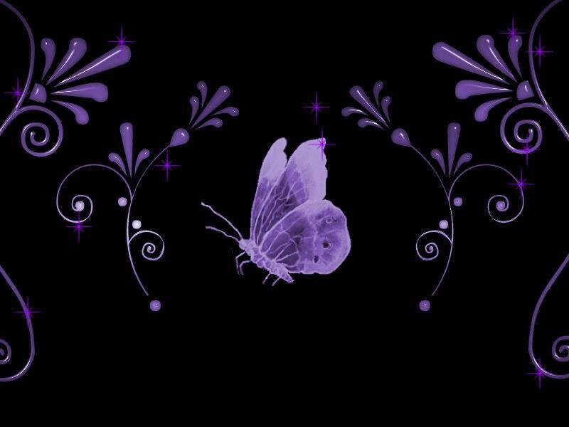 purple butterfly with floral design