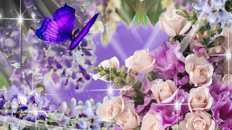 Purple Butterfly with Flowers — Dreamy