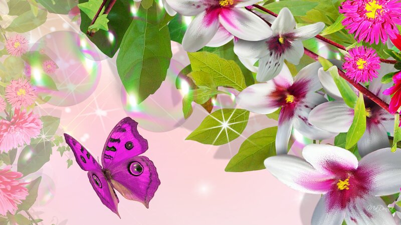 Purple Butterfly with Flowers — Pink
