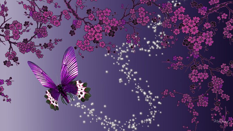 Purple Butterfly with Flowers — Serene, Night