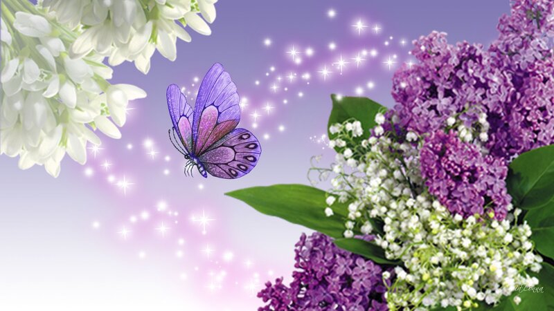 Purple Butterfly with Flowers — Serene, Spring