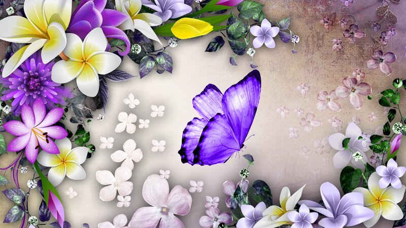 Purple Butterfly with Flowers — Serene