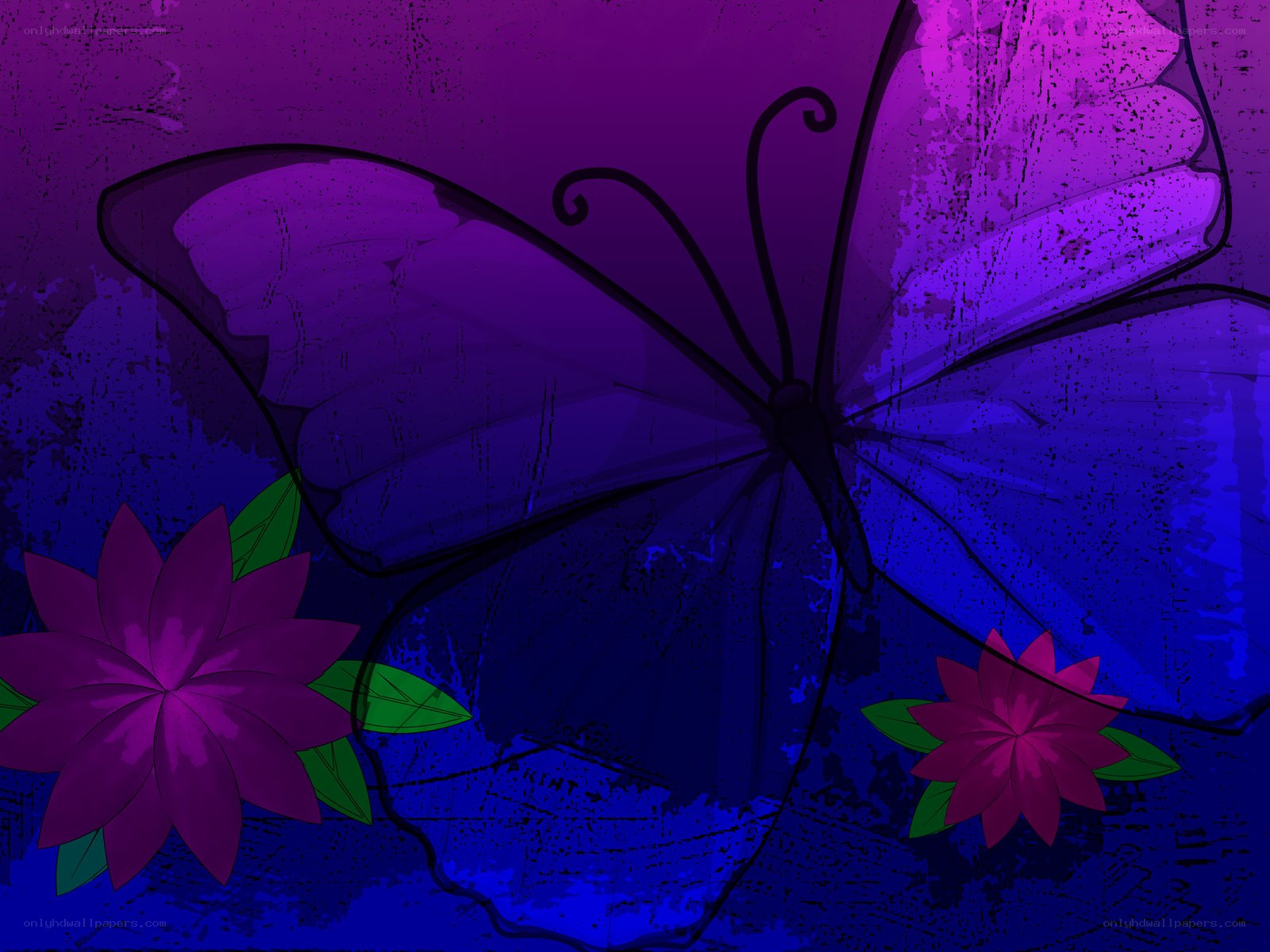 purple butterfly with flowers