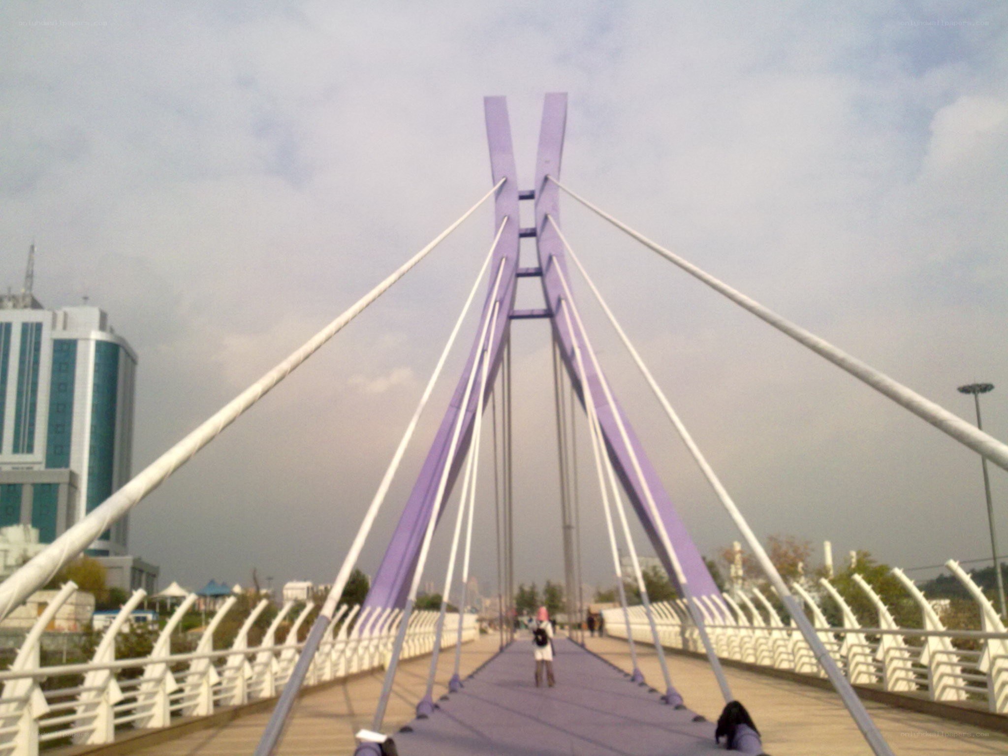 Purple cable-stayed bridge