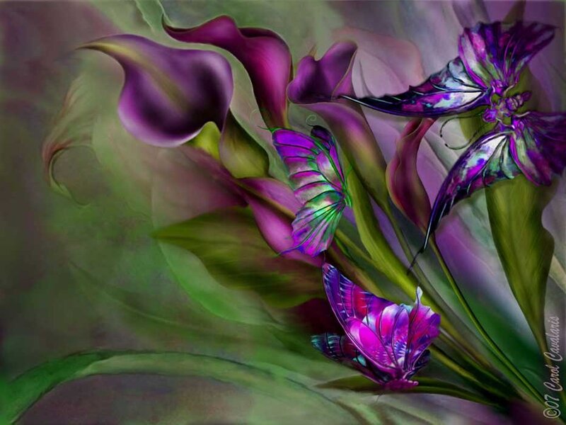 Purple Calla Lilies and Butterflies
