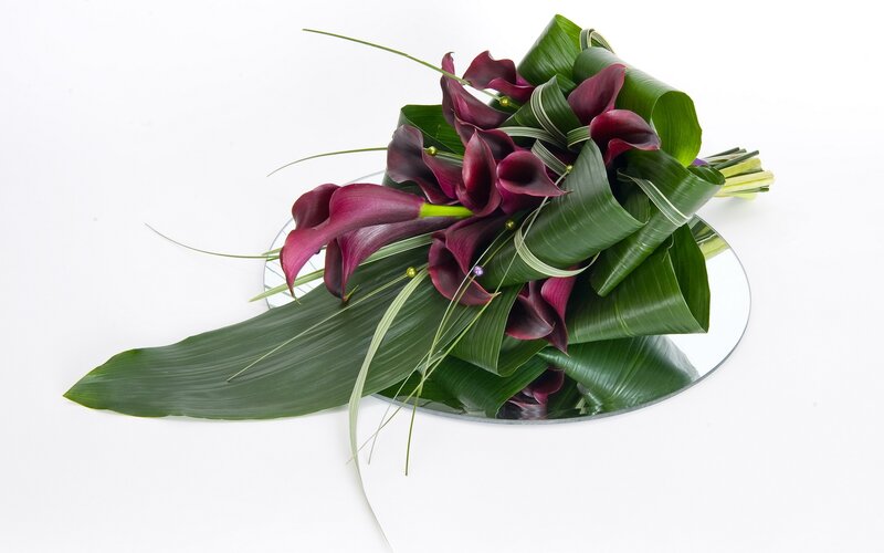 Purple calla lilies bouquet