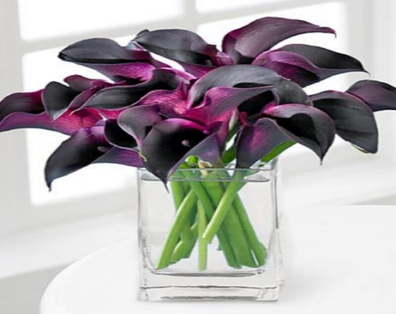 Purple Calla Lilies — Calm, Photograph, Vase
