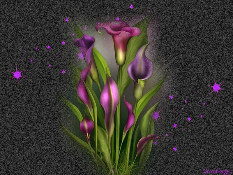 Purple Calla Lilies — Dreamy, Night
