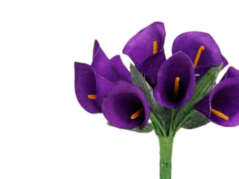 Purple Calla Lilies