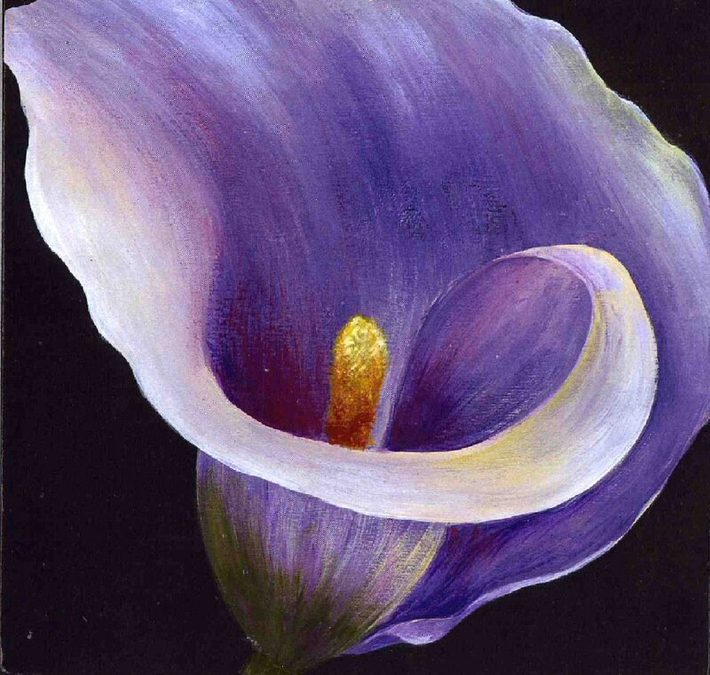 purple calla lily painting