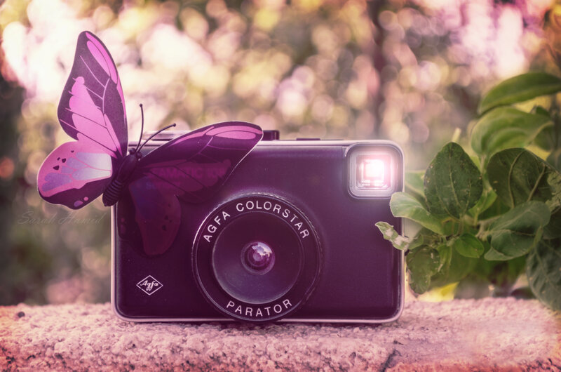 Purple Camera with Butterfly