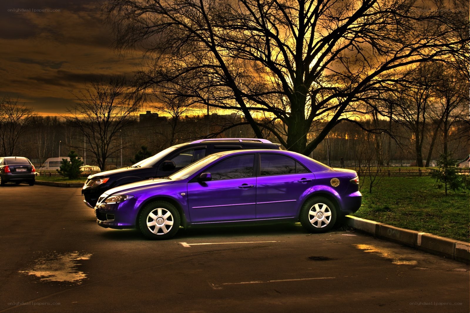 Purple car at sunset
