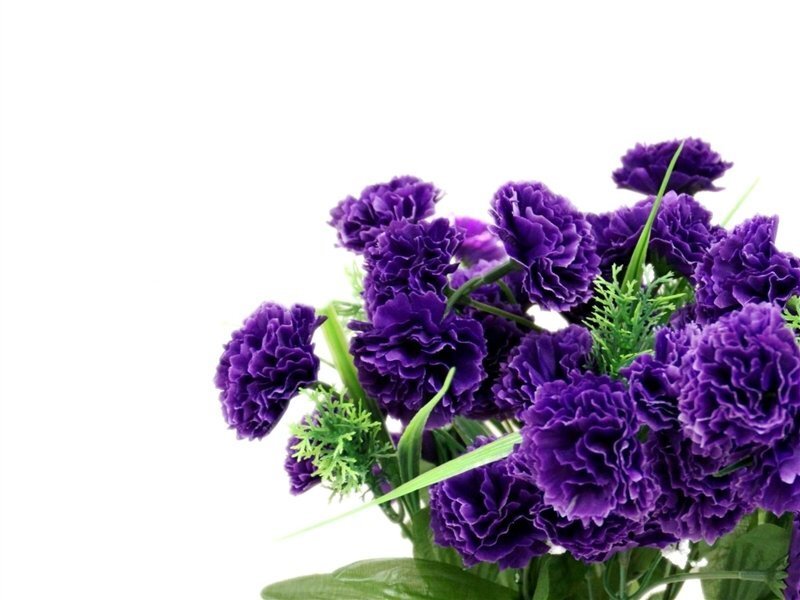 Purple Carnation Bouquet