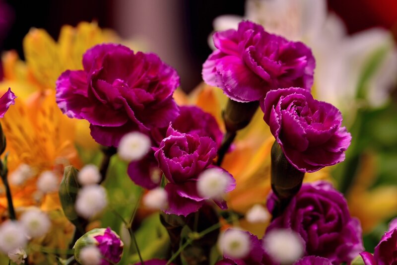 Purple Carnations in Bouquet